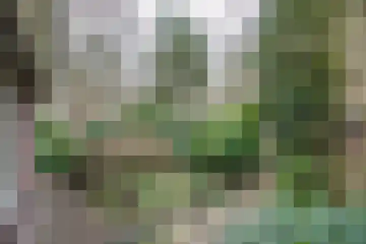 Veldweg 19 Heerde thumbnail 11