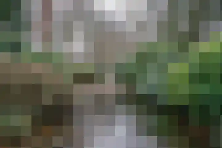 Veldweg 19 Heerde thumbnail 12