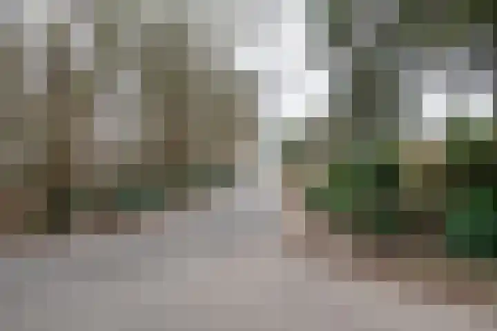 Veldweg 19 Heerde thumbnail 14