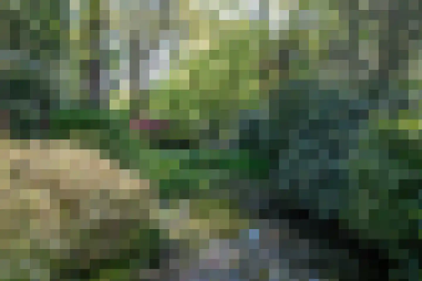 Veldweg 19 Heerde thumbnail 14