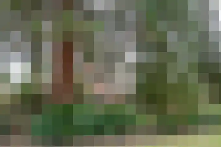 Veldweg 19 Heerde thumbnail 15