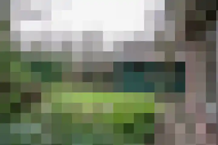 Veldweg 19 Heerde thumbnail 18