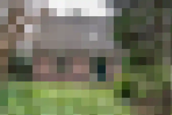 Veldweg 19 Heerde thumbnail 20