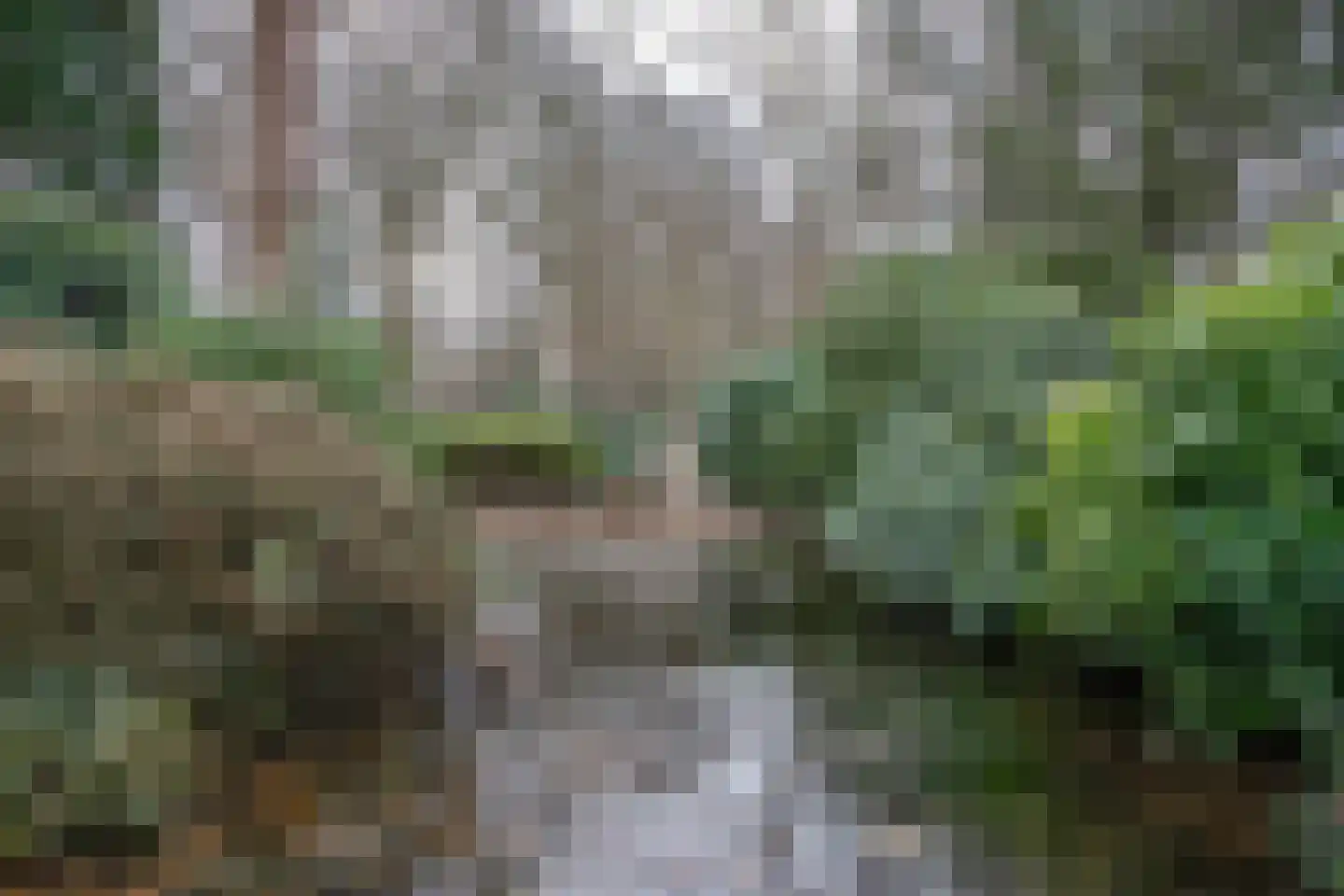 Veldweg 19 Heerde thumbnail 4