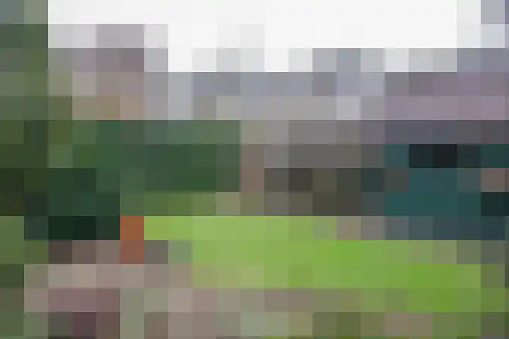 Veldweg 19 Heerde thumbnail 5