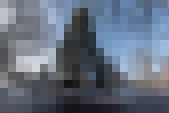 Veldweg 19 Heerde thumbnail 51