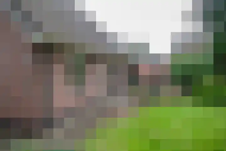 Veldweg 19 Heerde thumbnail 6