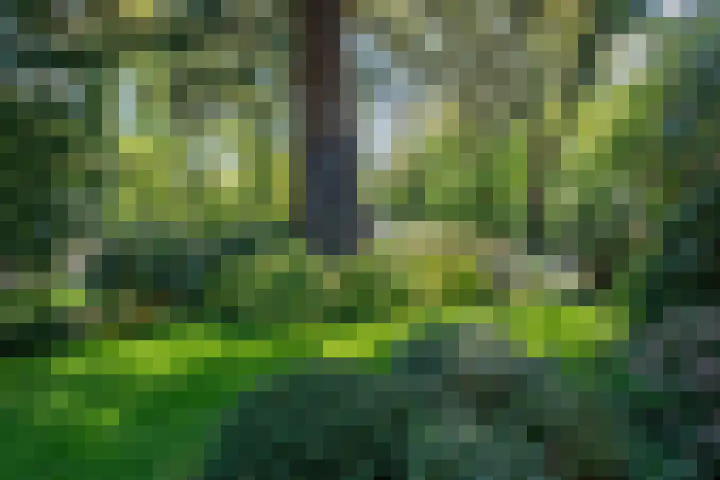Veldweg 19 Heerde thumbnail 6