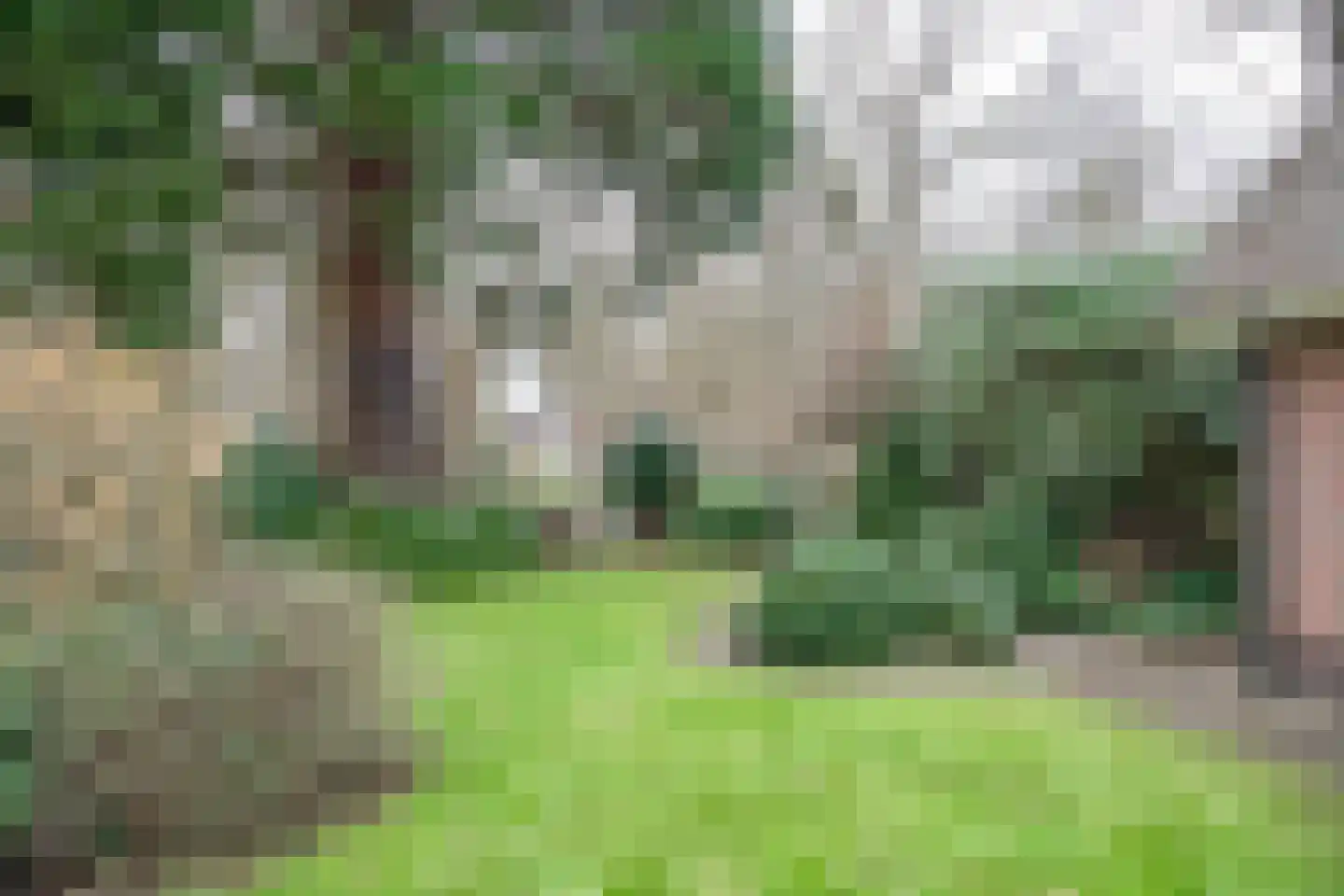 Veldweg 19 Heerde thumbnail 6