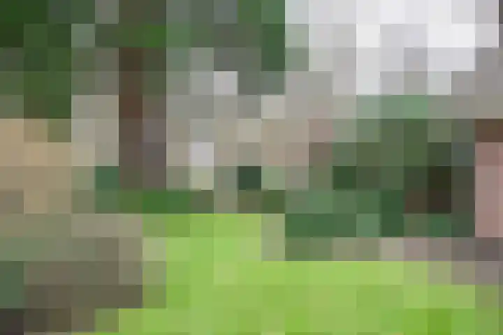 Veldweg 19 Heerde thumbnail 7