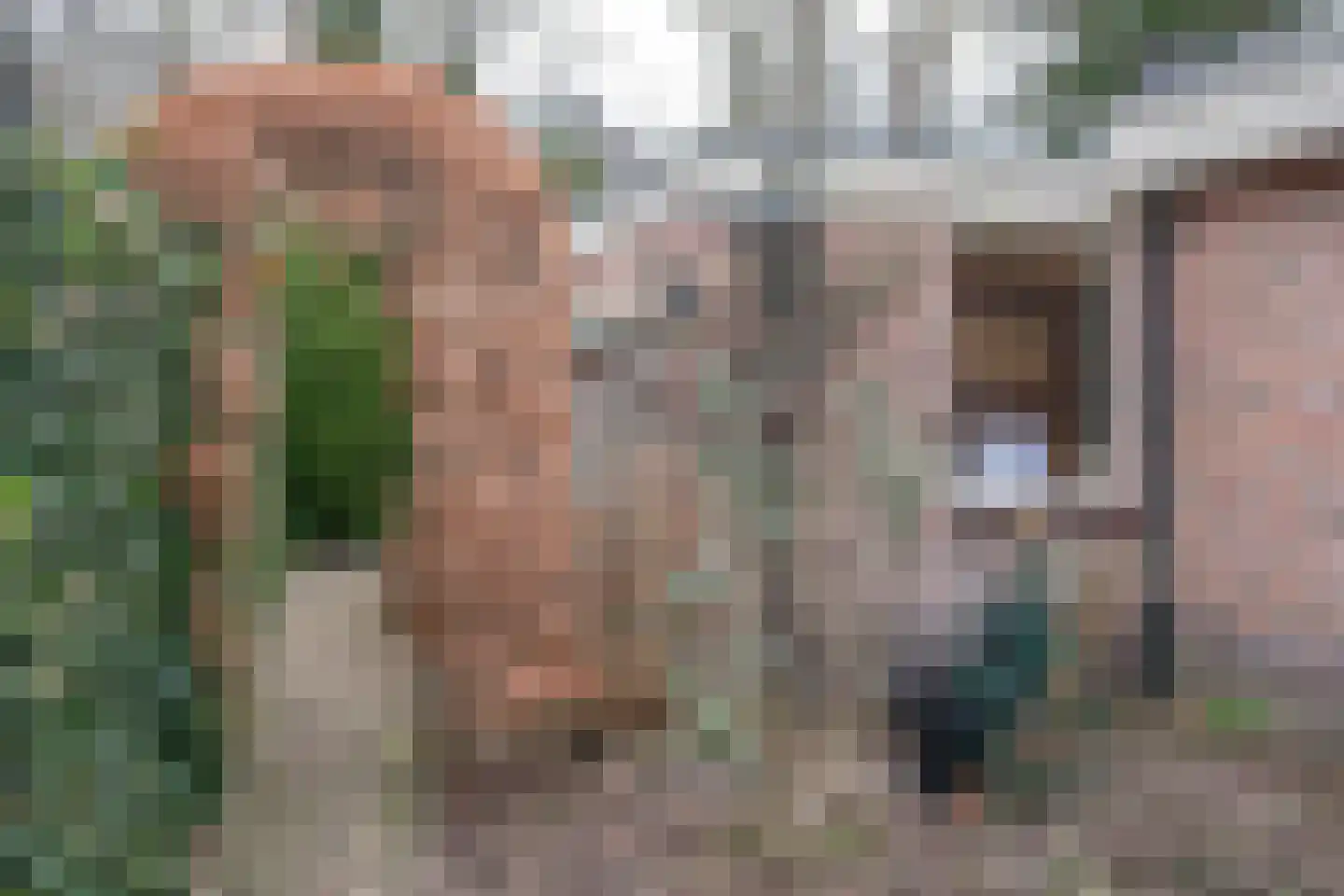 Veldweg 19 Heerde thumbnail 8