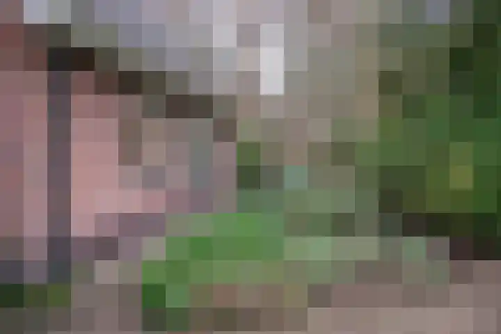 Veldweg 19 Heerde thumbnail 8