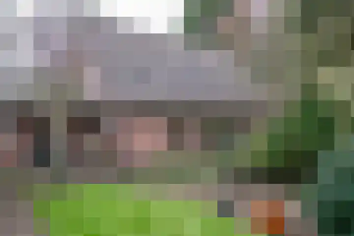 Veldweg 19 Heerde thumbnail 9
