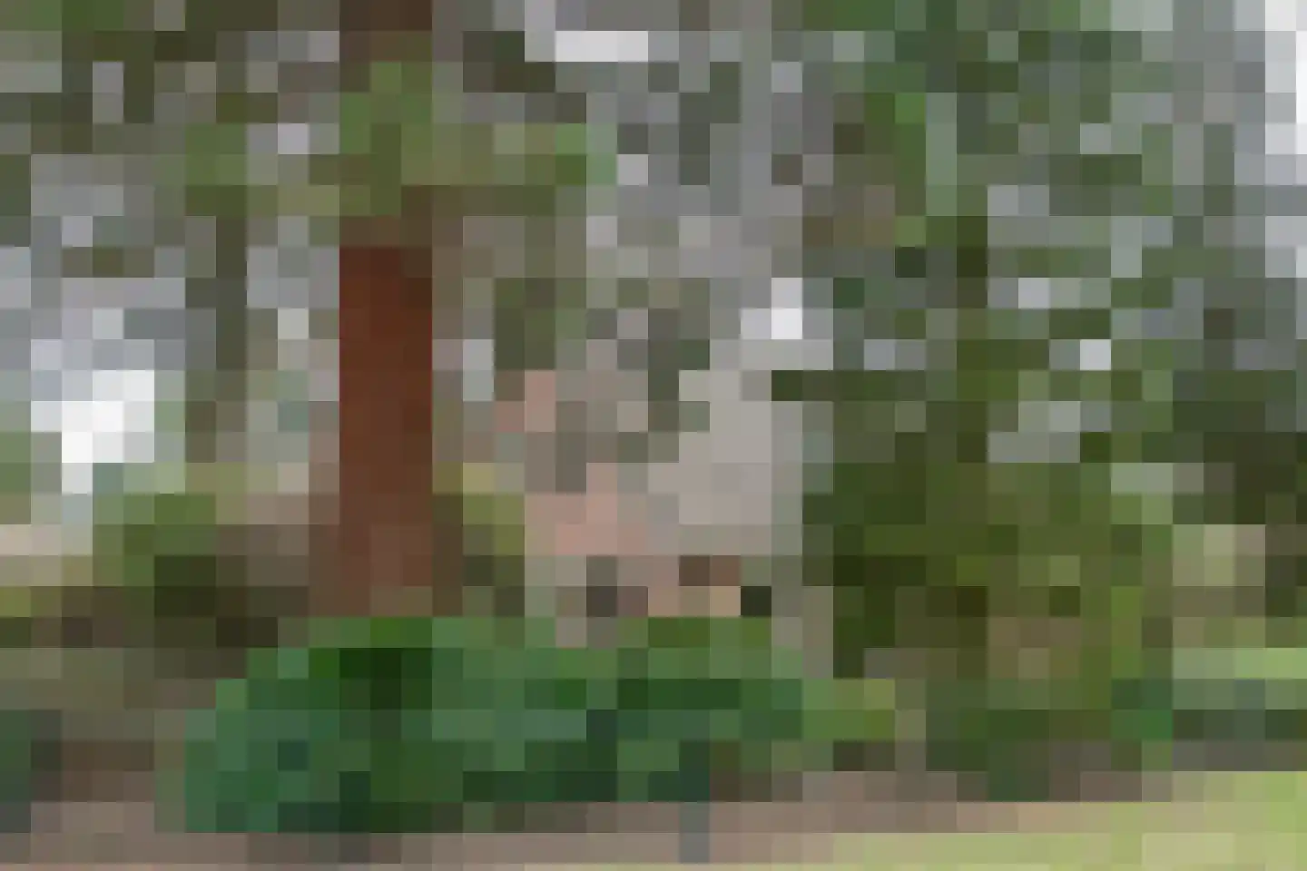 Veldweg 19 Heerde thumbnail 9