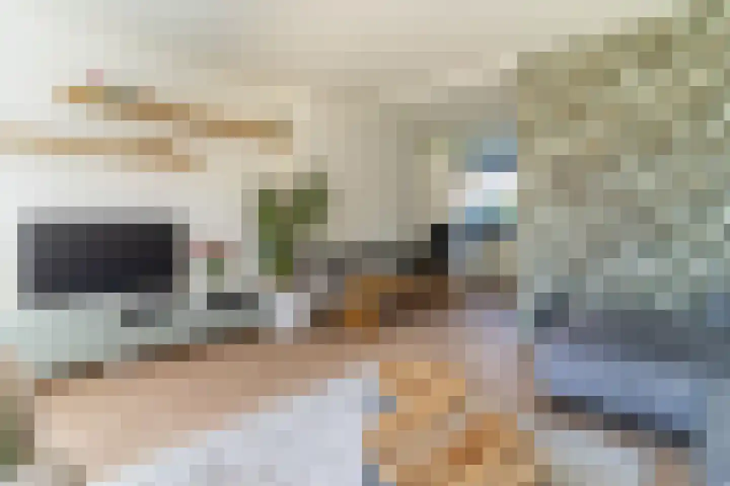 Veldweg 21 Doornspijk thumbnail 17