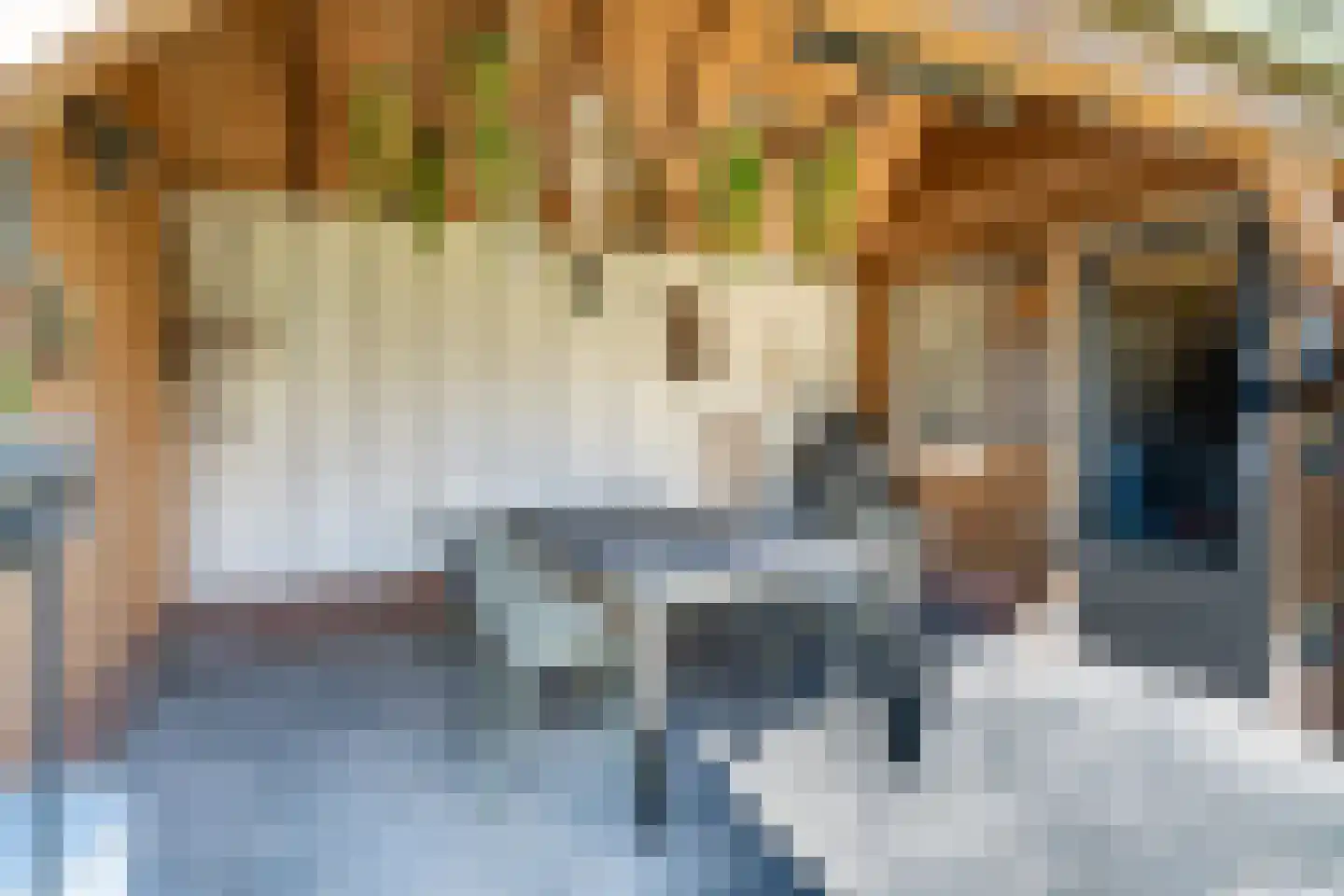 Veldweg 21 Doornspijk thumbnail 28