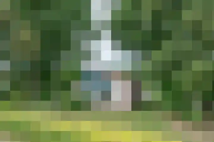 Veldweg 22 184 Nooitgedacht thumbnail 25