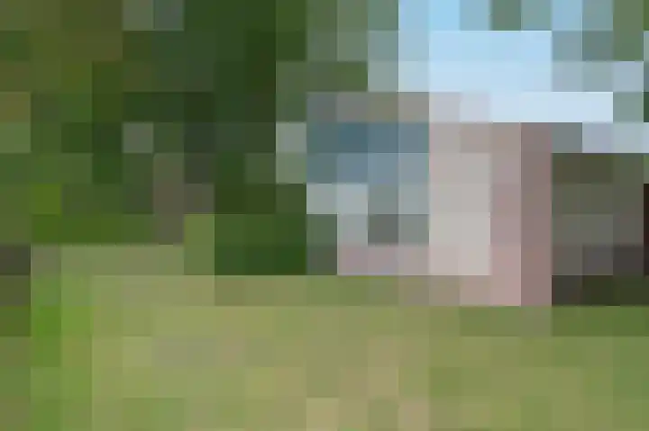 Veldweg 22 184 Nooitgedacht thumbnail 26