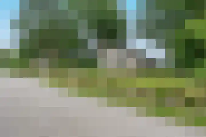 Veldweg 22 184 Nooitgedacht thumbnail 28