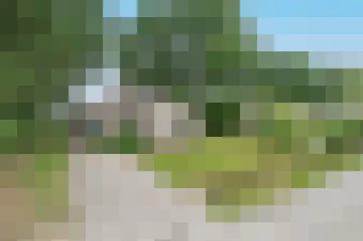 Veldweg 22 184 Nooitgedacht thumbnail 33