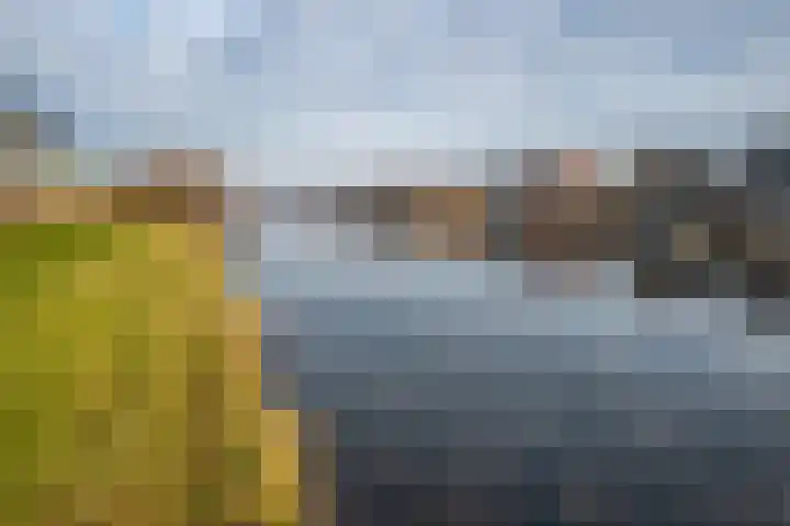 Veldweg 22 Almere thumbnail 15