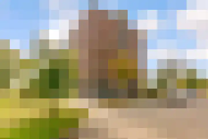 Veldweg 22 Almere thumbnail 8