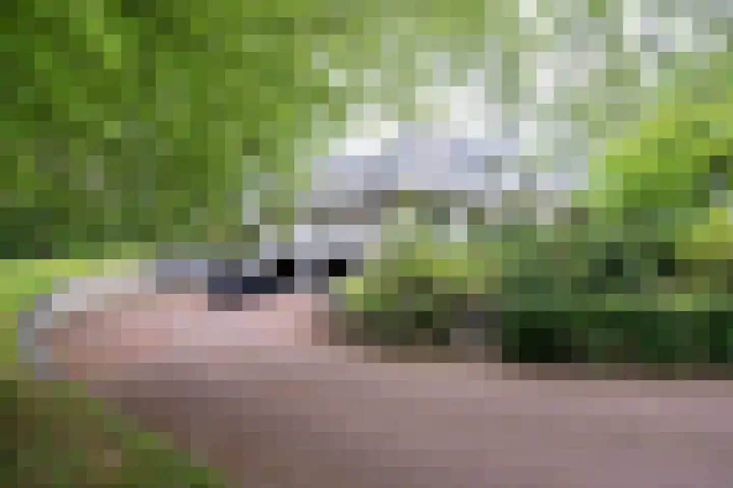 Veldweg 23 Hattem thumbnail 4