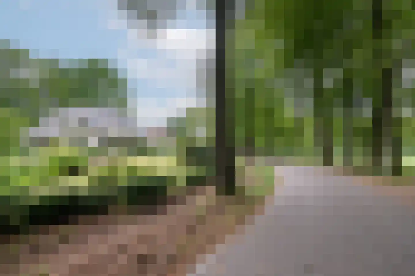 Veldweg 23 Hattem thumbnail 59