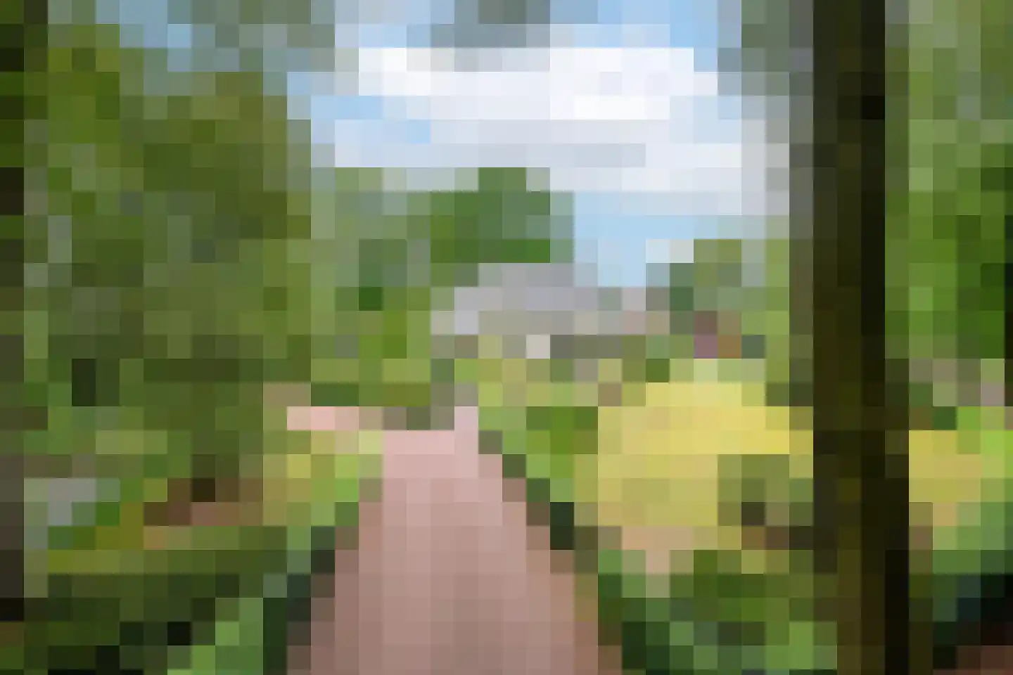 Veldweg 23 Hattem thumbnail 60