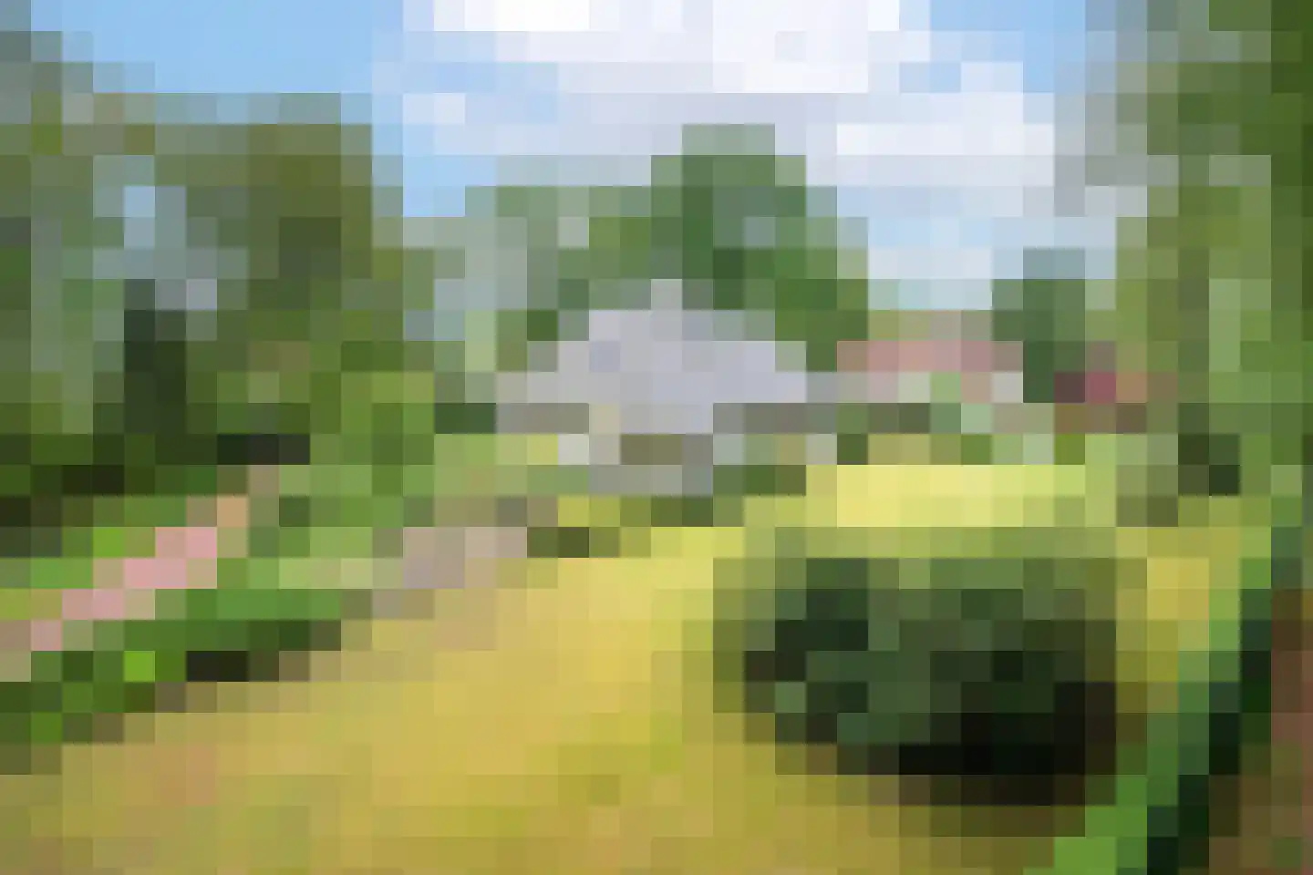 Veldweg 23 Hattem thumbnail 61