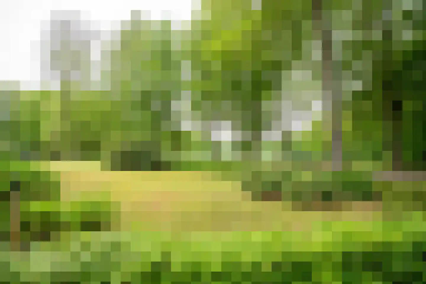 Veldweg 23 Hattem thumbnail 63