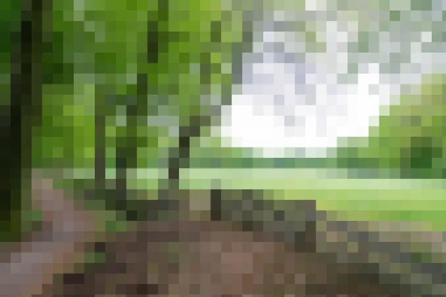 Veldweg 23 Hattem thumbnail 64