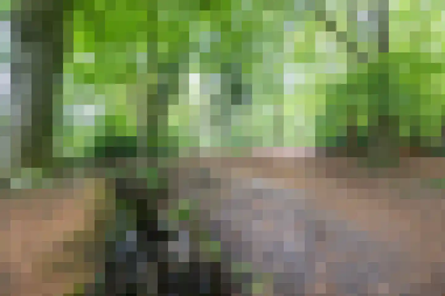 Veldweg 23 Hattem thumbnail 65