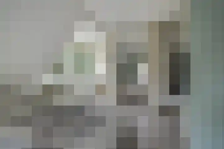 Veldweg 28 Ermelo thumbnail 28