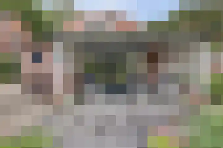 Veldweg 28 Ermelo thumbnail 39