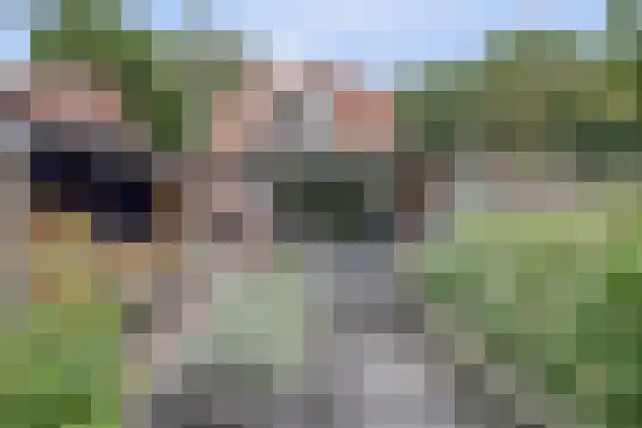 Veldweg 28 Ermelo thumbnail 4