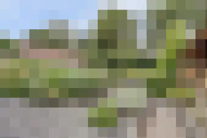 Veldweg 28 Ermelo thumbnail 41