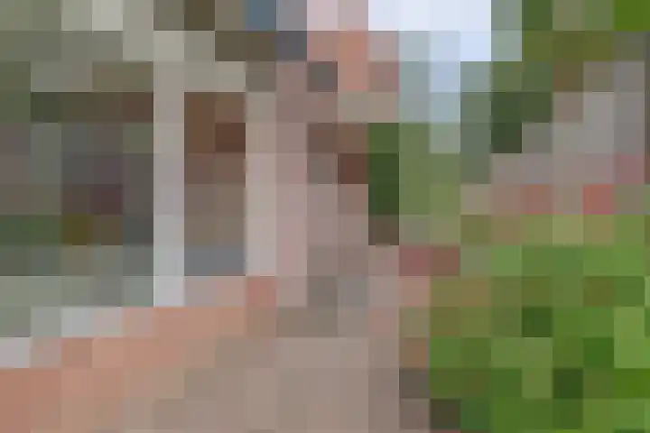 Veldweg 28 Ermelo thumbnail 42