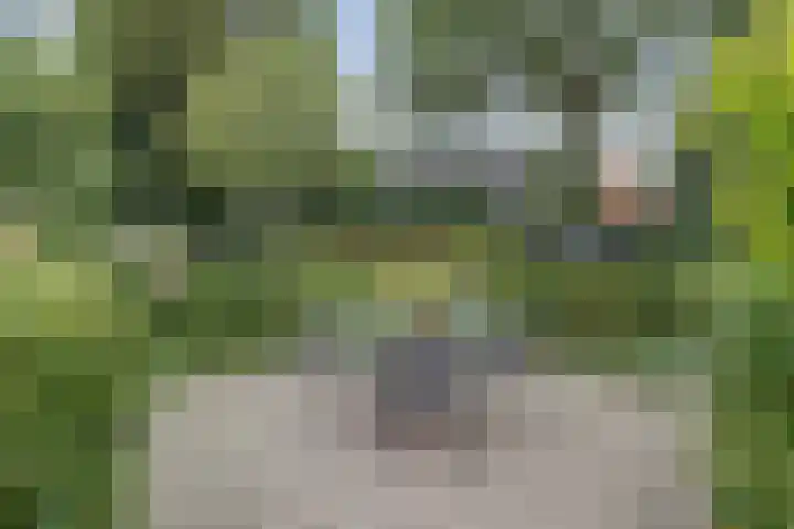 Veldweg 28 Ermelo thumbnail 43