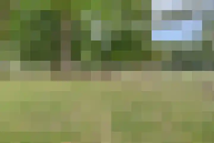 Veldweg 28 Ermelo thumbnail 49