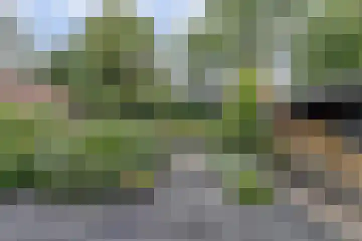 Veldweg 28 Ermelo thumbnail 5