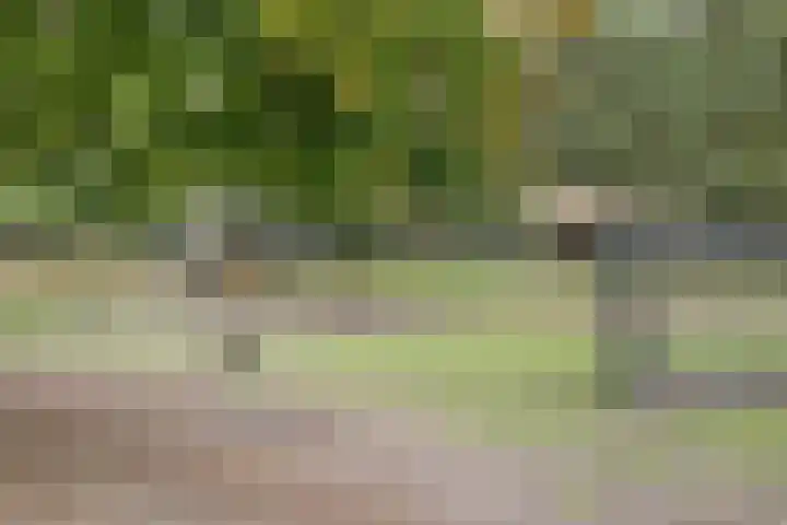 Veldweg 28 Ermelo thumbnail 51