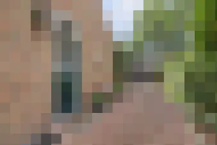Veldweg 28 Ermelo thumbnail 8