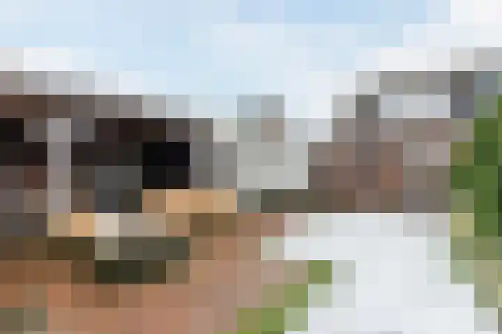 Veldweg 28 Escharen thumbnail 28