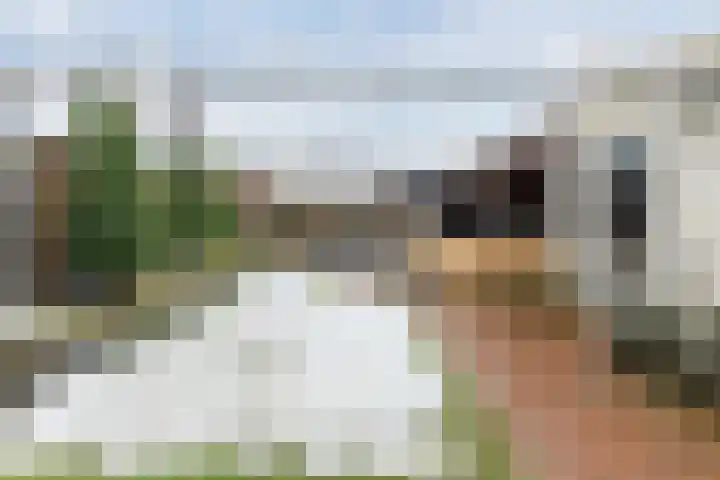 Veldweg 28 Escharen thumbnail 30