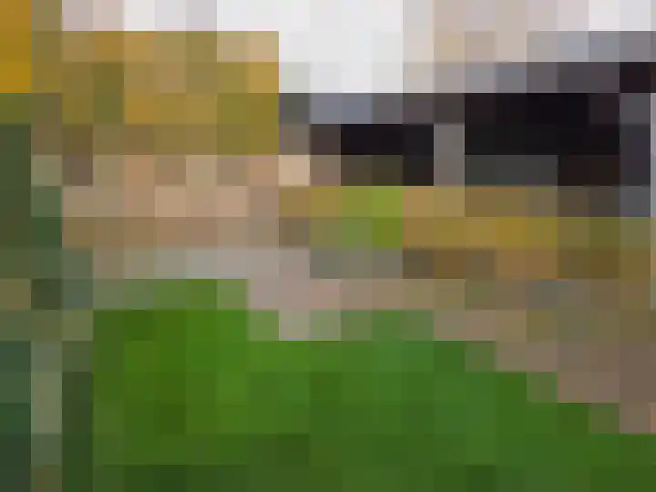 Veldweg 28 Escharen thumbnail 32