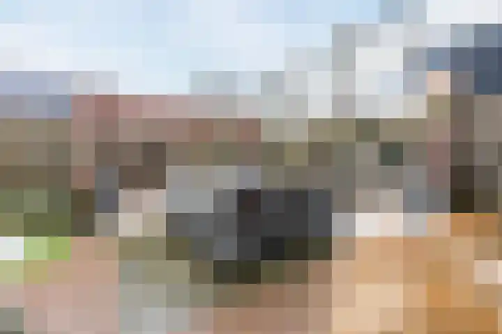 Veldweg 28 Escharen thumbnail 33