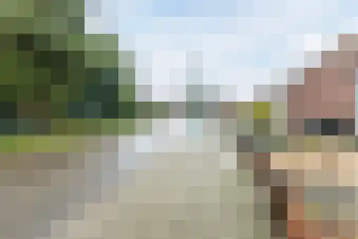 Veldweg 28 Escharen thumbnail 40