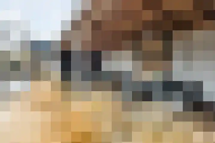 Veldweg 28 Escharen thumbnail 5
