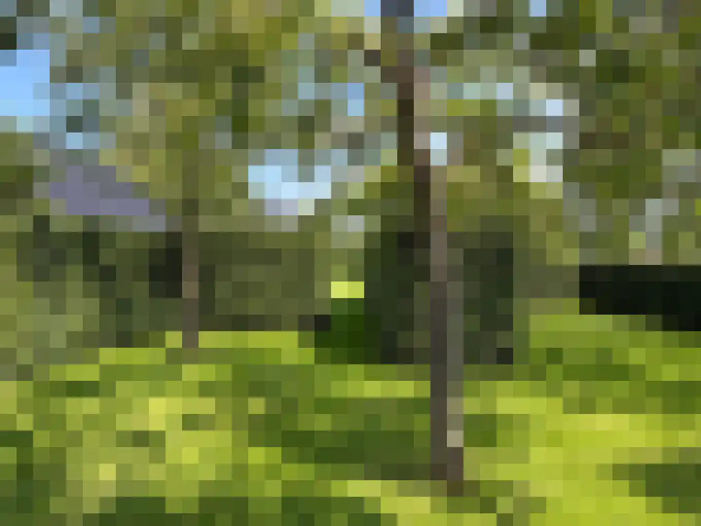 Veldweg 3 Coevorden thumbnail 13